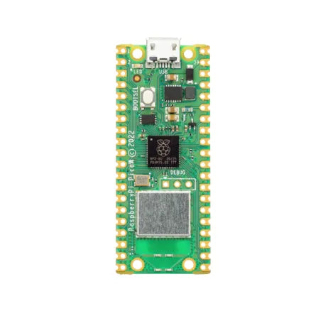 Raspberry Pi Pico W with datasheet - SunRobotics | www.sunrobotics.in